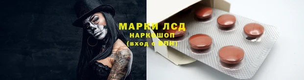 прущая мука Володарск