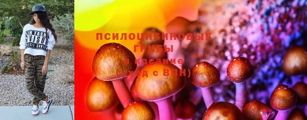 стафф Волосово