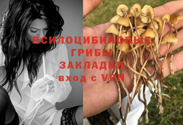 МДПВ Волоколамск