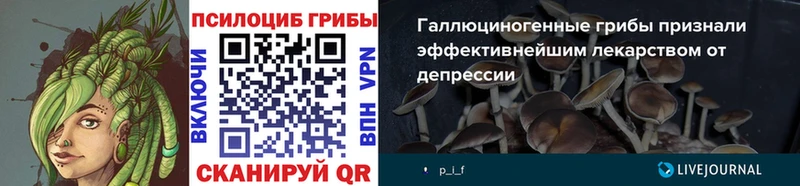 Галлюциногенные грибы Psilocybe  купить   Инза 