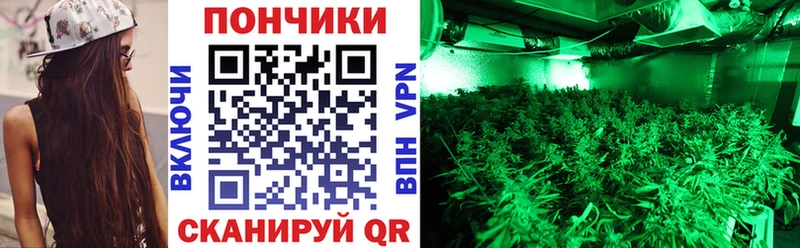 купить наркотики сайты  Инза  Каннабис Bruce Banner 